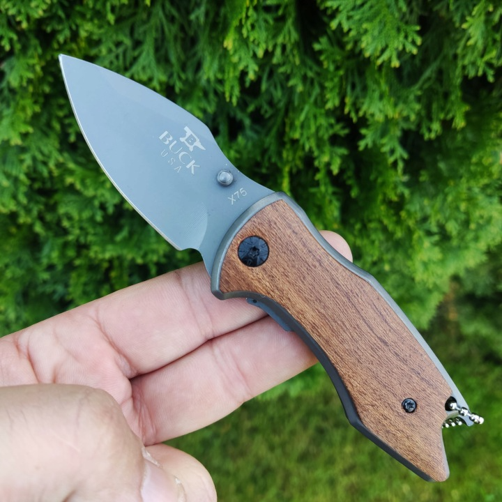 Buck USA Mini Folding Knife with Wood Handle & Keychain