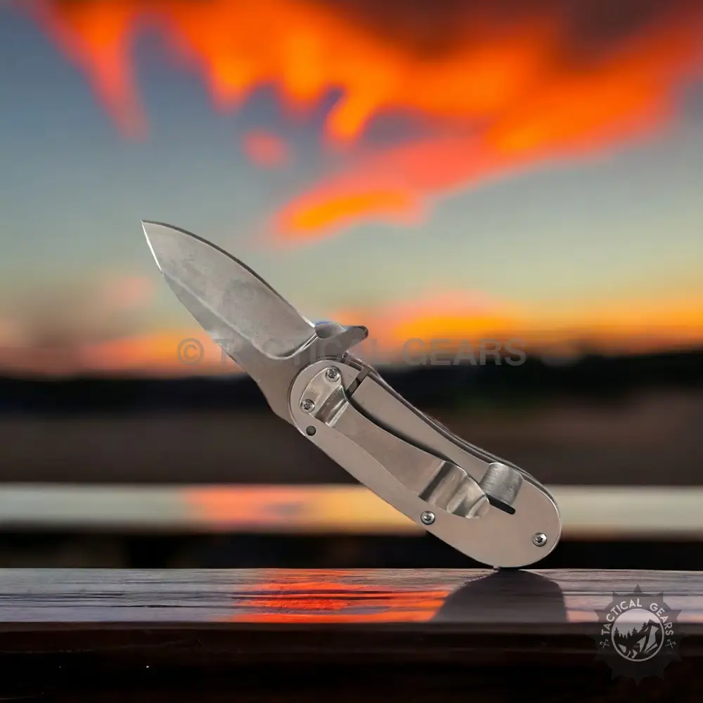 Buck USA Mini Folding Knife with Wood Handle & Keychain